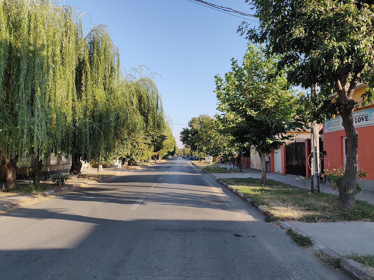 Libertății Street in Alexandria, Teleorman — Bilo