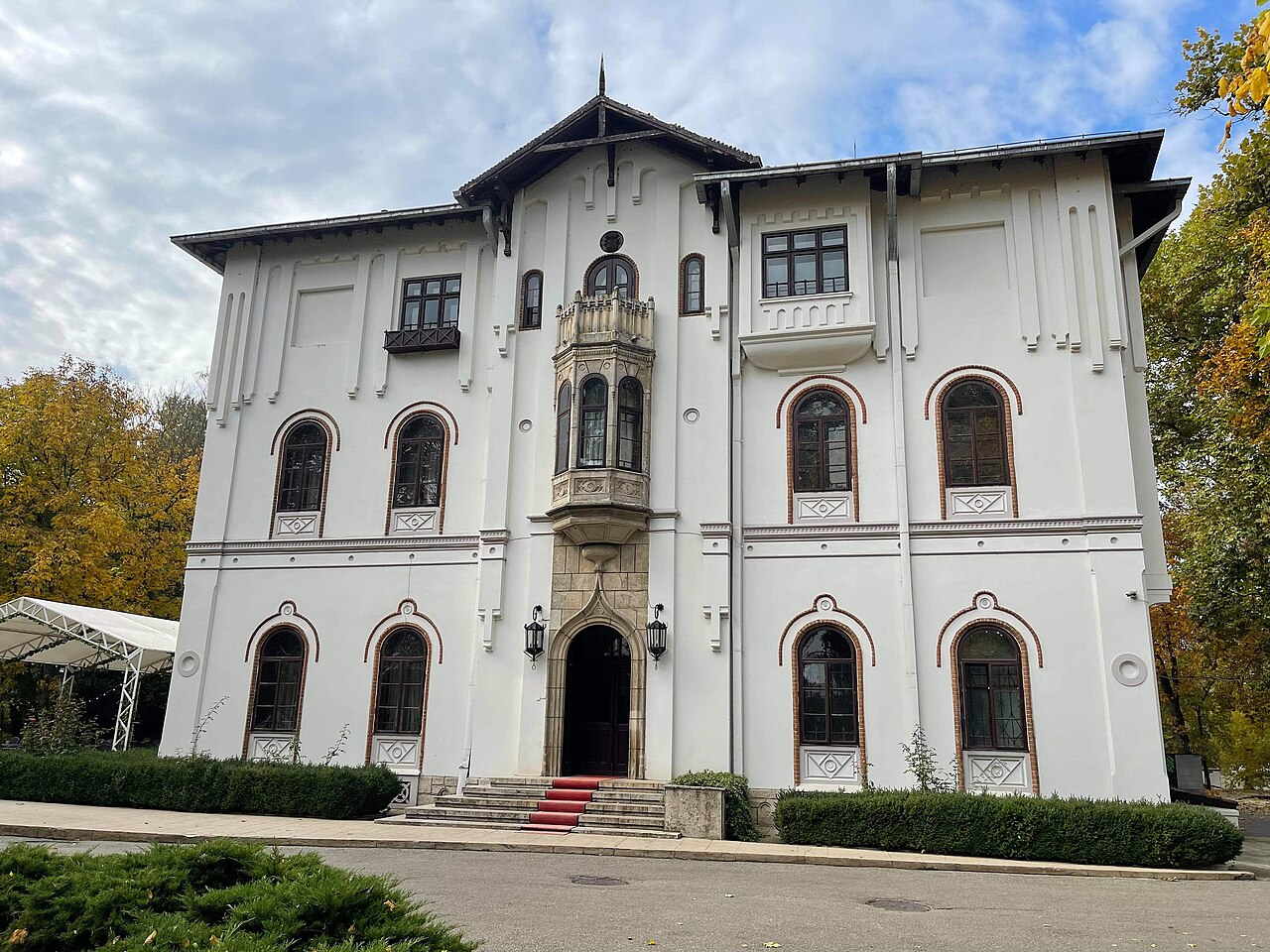 Palatul Știrbei din Buftea, Ilfov — Bilo